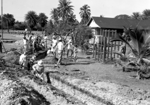 Digging air raid shelters in Honolulu Digging air raid shelters in Honolulu