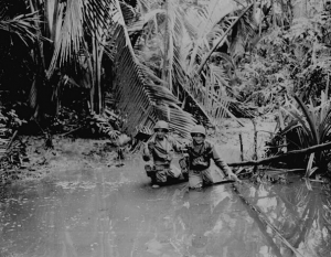 Guadalcanal Jungle