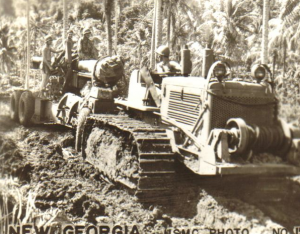 Mud of New Georgia