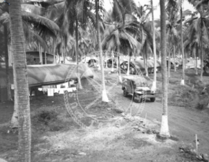 Hospital New Hebrides Hospital New Hebrides