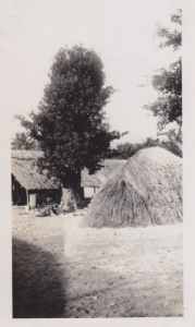 Native Huts Espiritu Santo, New Hebrides