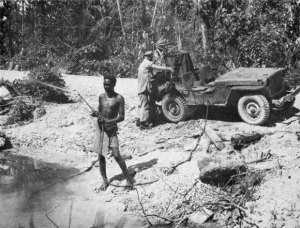 Malaria Control, South Pacific
